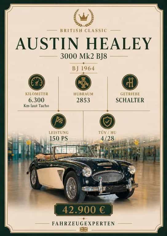 Austin Healey Other 3000 MK2 01/1964-photo-27