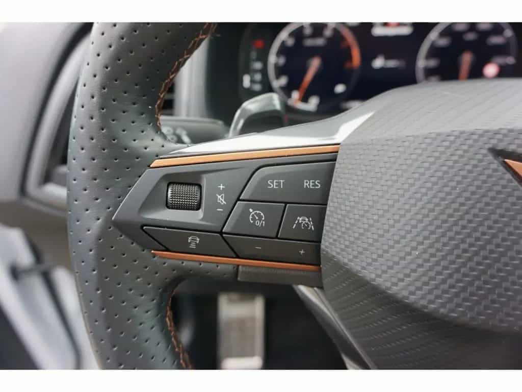 Cupra Ateca 2.0 TSI 4Drive DSG Pano Beats LED Navi ACC 05/2024-photo-13