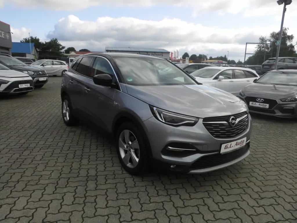 Opel Grandland (X)/NAVI/KAM/KLIMA/PDC/TEMPO/SITZHZG/ 12/2019-photo-1