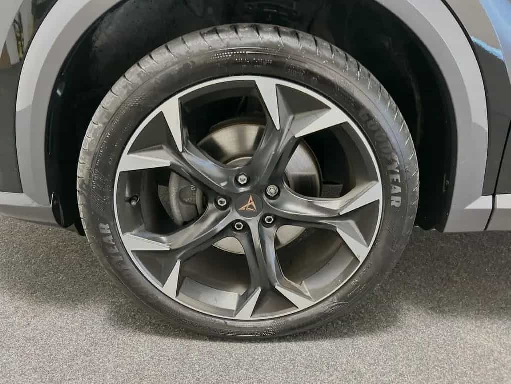 Cupra Formentor 2.0 TDI DSG 4Drive 11/2022-photo-15