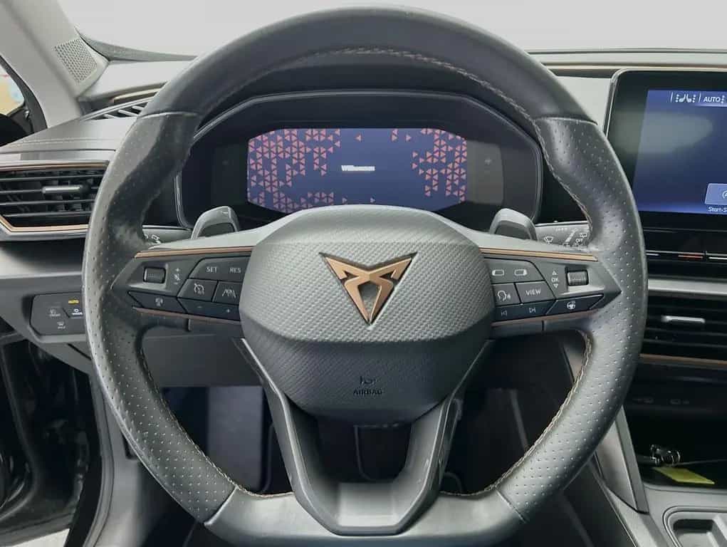 Cupra Formentor 2.0 TDI DSG 4Drive 11/2022-photo-8