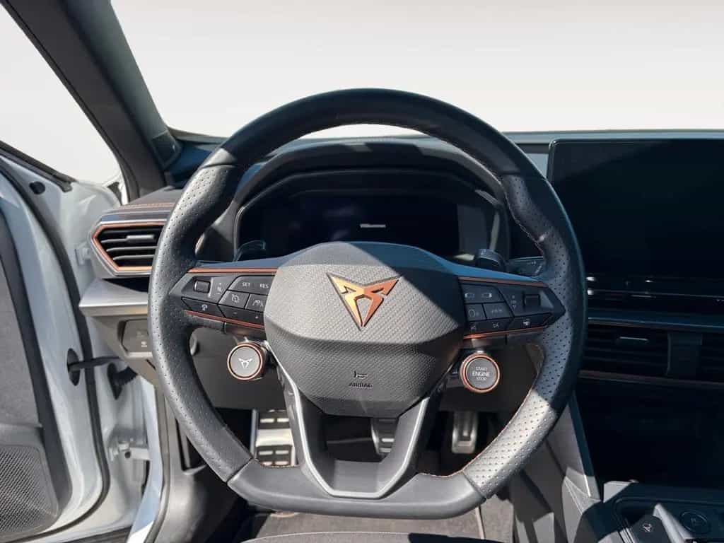 Cupra Formentor VZ 2.0 TSI 4Drive DSG 1.HD/AHK/360°Kam 10/2023-photo-11