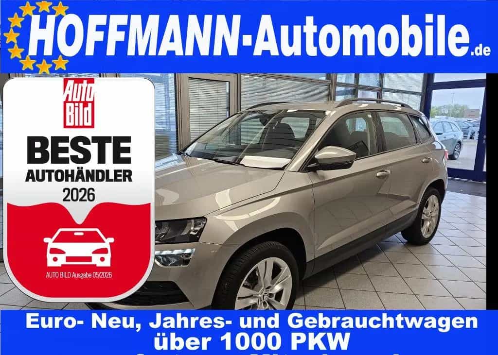Skoda Karoq Style Mirror-Link,Sitzheizung,PDC,Keyless 11/2018-photo-0