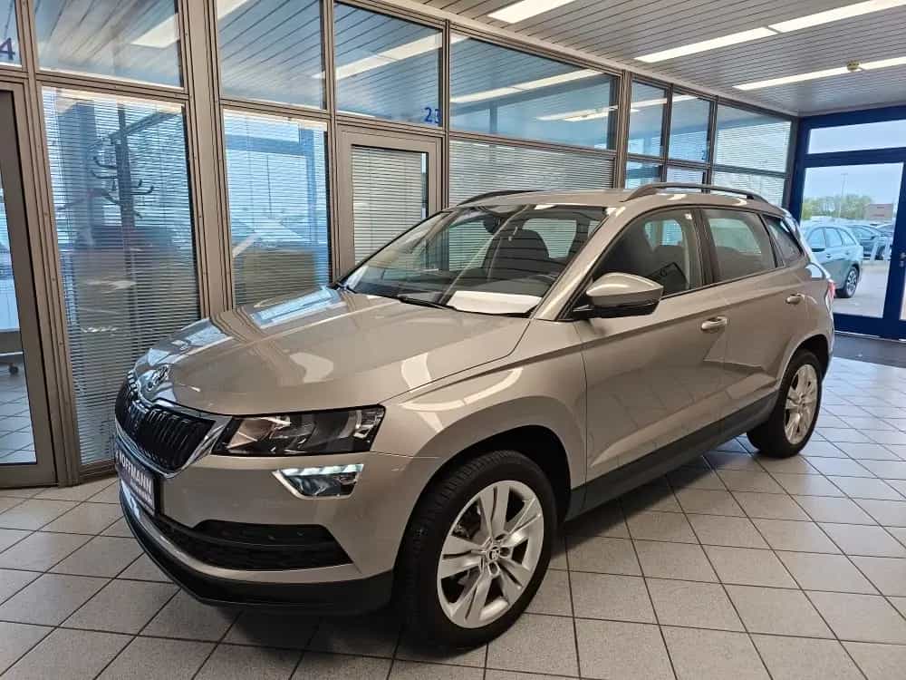 Skoda Karoq Style Mirror-Link,Sitzheizung,PDC,Keyless 11/2018-photo-1