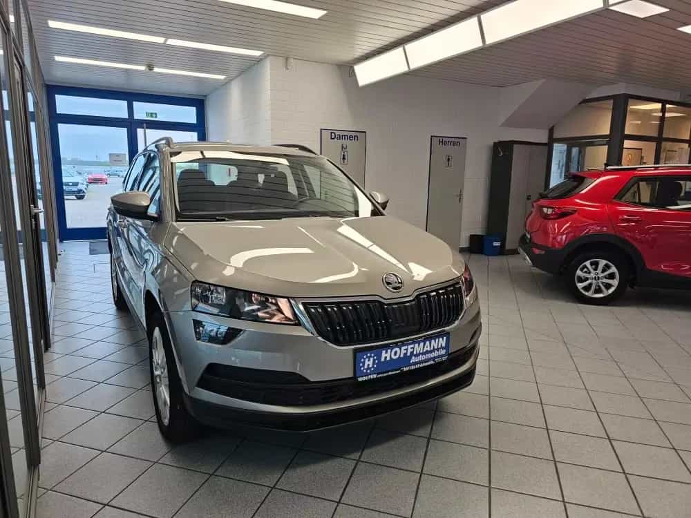Skoda Karoq Style Mirror-Link,Sitzheizung,PDC,Keyless 11/2018-photo-23