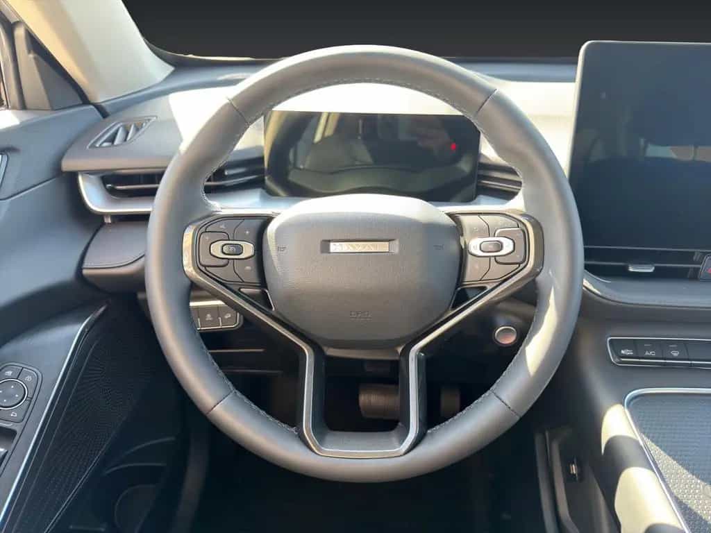 GWM HAVAL H6 null-photo-13