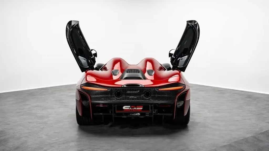 McLaren Elva 01/2021-photo-19