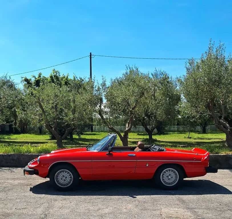 Alfa Romeo Spider Duetto 2.0 Veloce NIKI LAUDA N 04/1978-photo-1