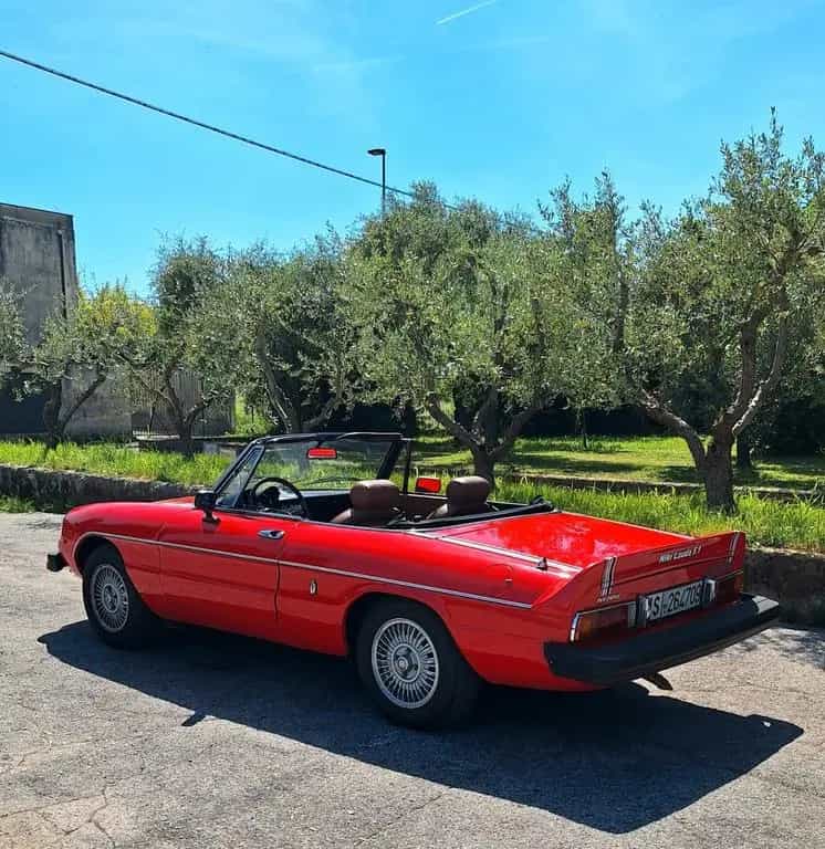 Alfa Romeo Spider Duetto 2.0 Veloce NIKI LAUDA N 04/1978-photo-2