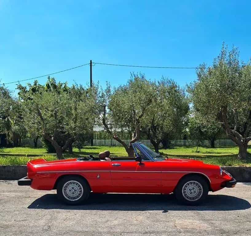 Alfa Romeo Spider Duetto 2.0 Veloce NIKI LAUDA N 04/1978-photo-4
