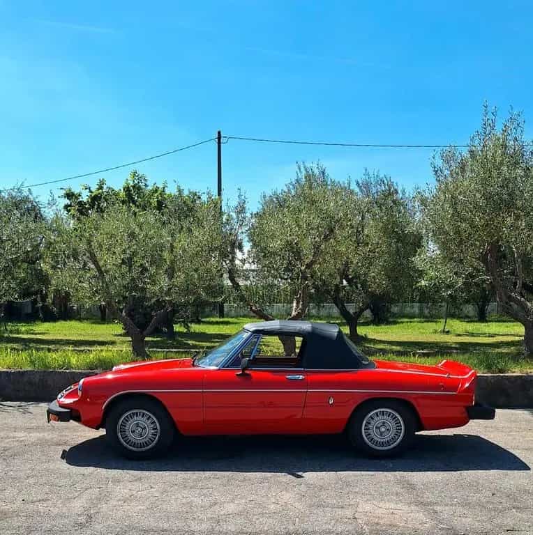 Alfa Romeo Spider Duetto 2.0 Veloce NIKI LAUDA N 04/1978-photo-6