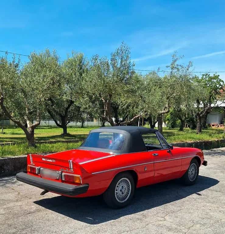 Alfa Romeo Spider Duetto 2.0 Veloce NIKI LAUDA N 04/1978-photo-8