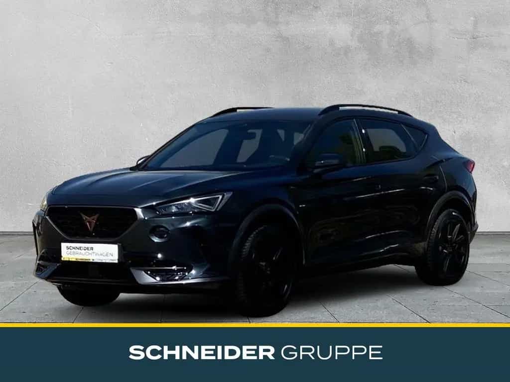 Cupra Formentor 2.0 TSI 4DRIVE DSG KAMERA+STANDHEIZUNG 02/2022-photo-0