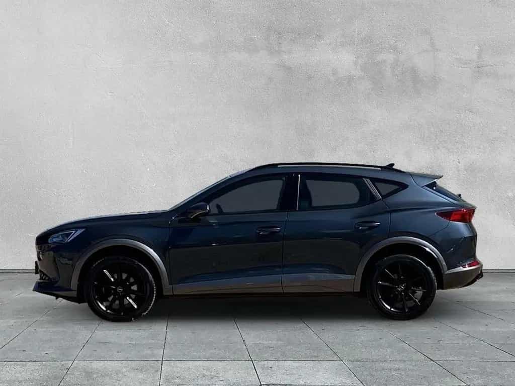Cupra Formentor 2.0 TSI 4DRIVE DSG KAMERA+STANDHEIZUNG 02/2022-photo-1