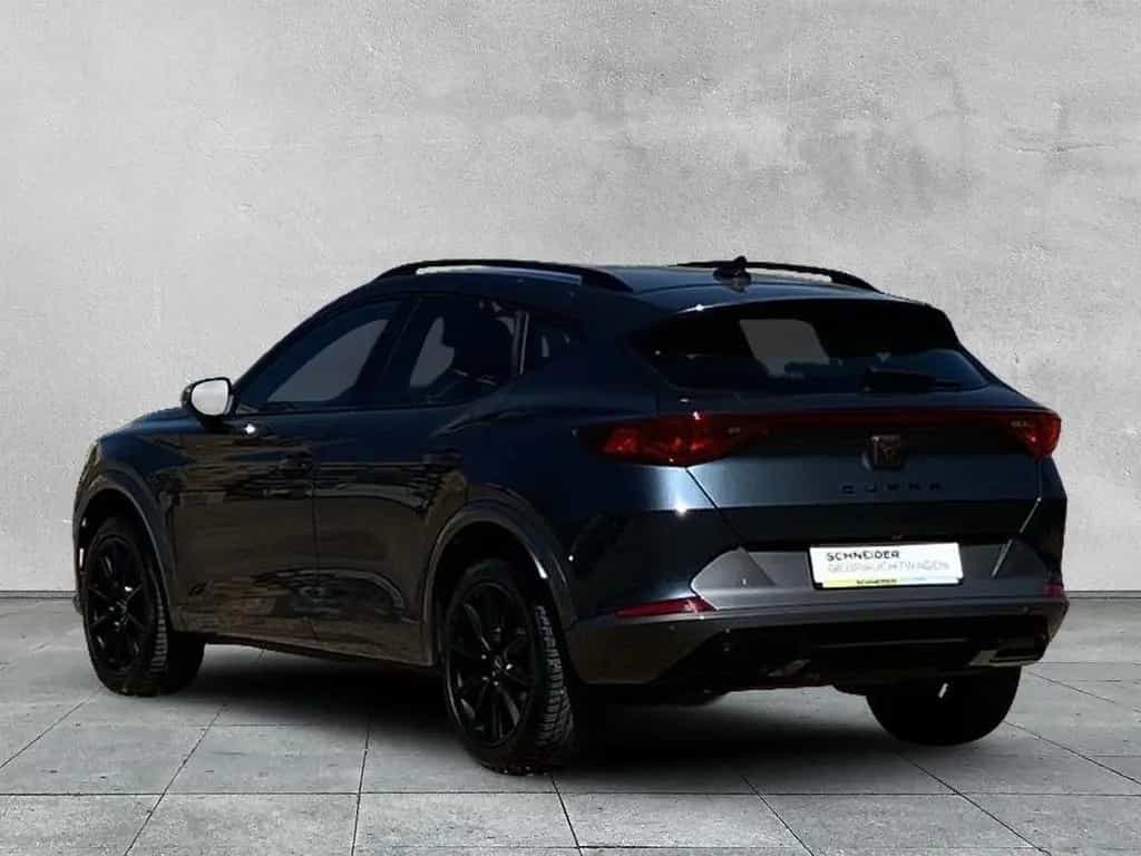 Cupra Formentor 2.0 TSI 4DRIVE DSG KAMERA+STANDHEIZUNG 02/2022-photo-2