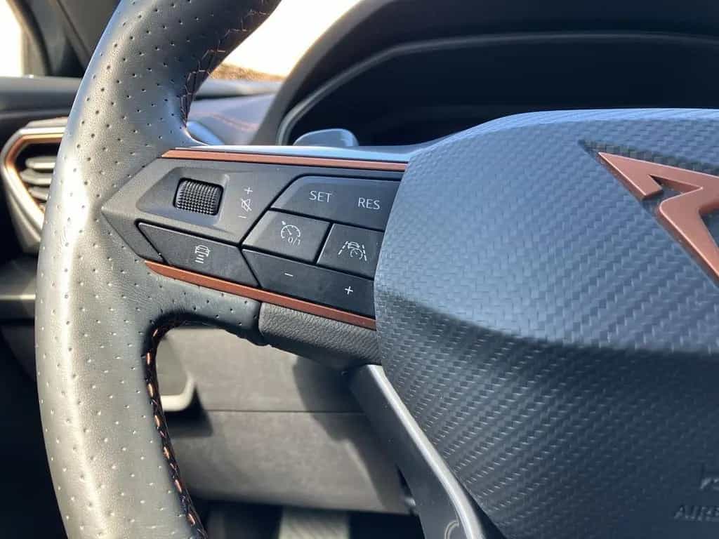 Cupra Formentor 2.0 TSI 4DRIVE DSG KAMERA+STANDHEIZUNG 02/2022-photo-21