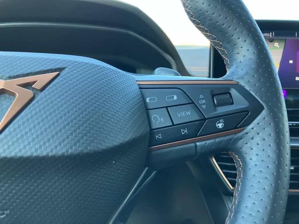 Cupra Formentor 2.0 TSI 4DRIVE DSG KAMERA+STANDHEIZUNG 02/2022-photo-22