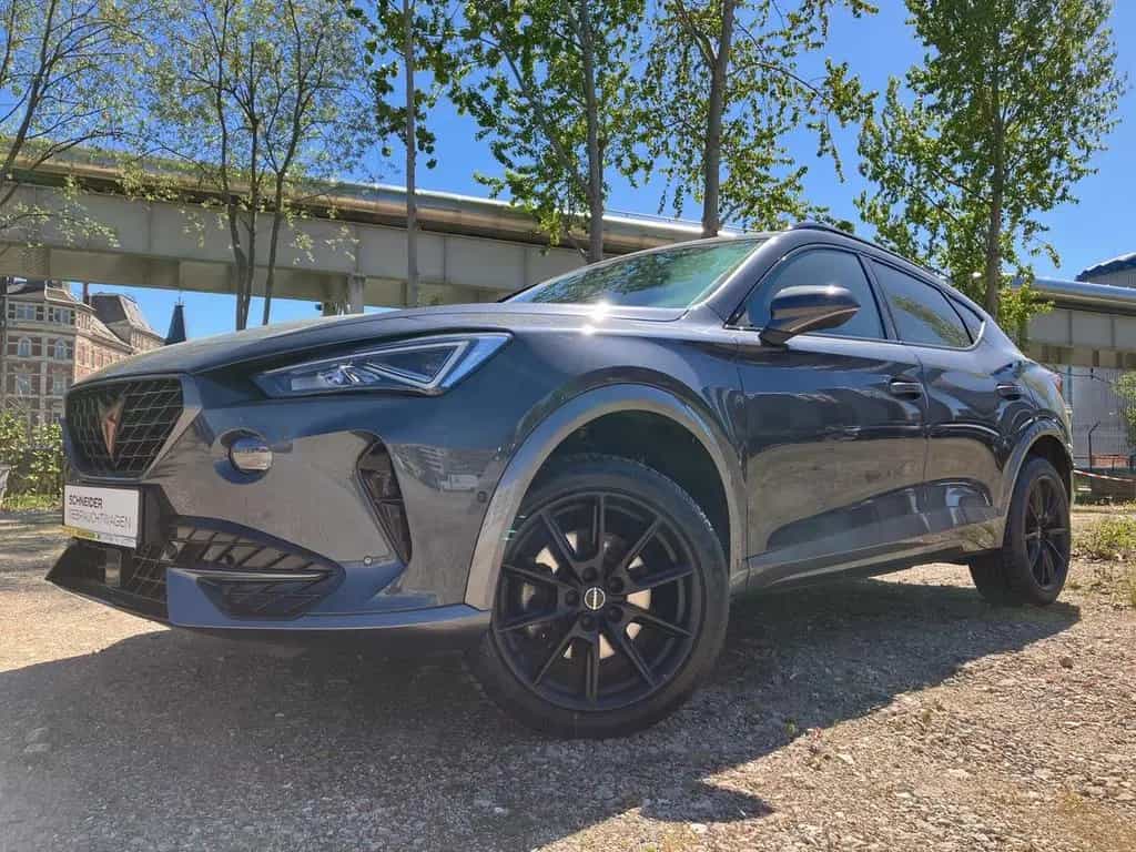 Cupra Formentor 2.0 TSI 4DRIVE DSG KAMERA+STANDHEIZUNG 02/2022-photo-23