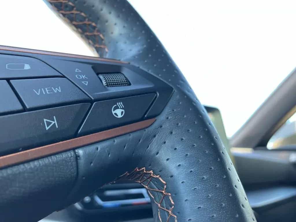 Cupra Formentor 2.0 TSI 4DRIVE DSG KAMERA+STANDHEIZUNG 02/2022-photo-30