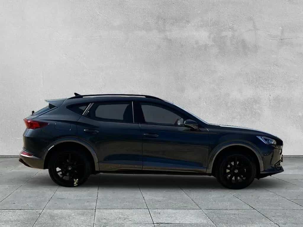 Cupra Formentor 2.0 TSI 4DRIVE DSG KAMERA+STANDHEIZUNG 02/2022-photo-5