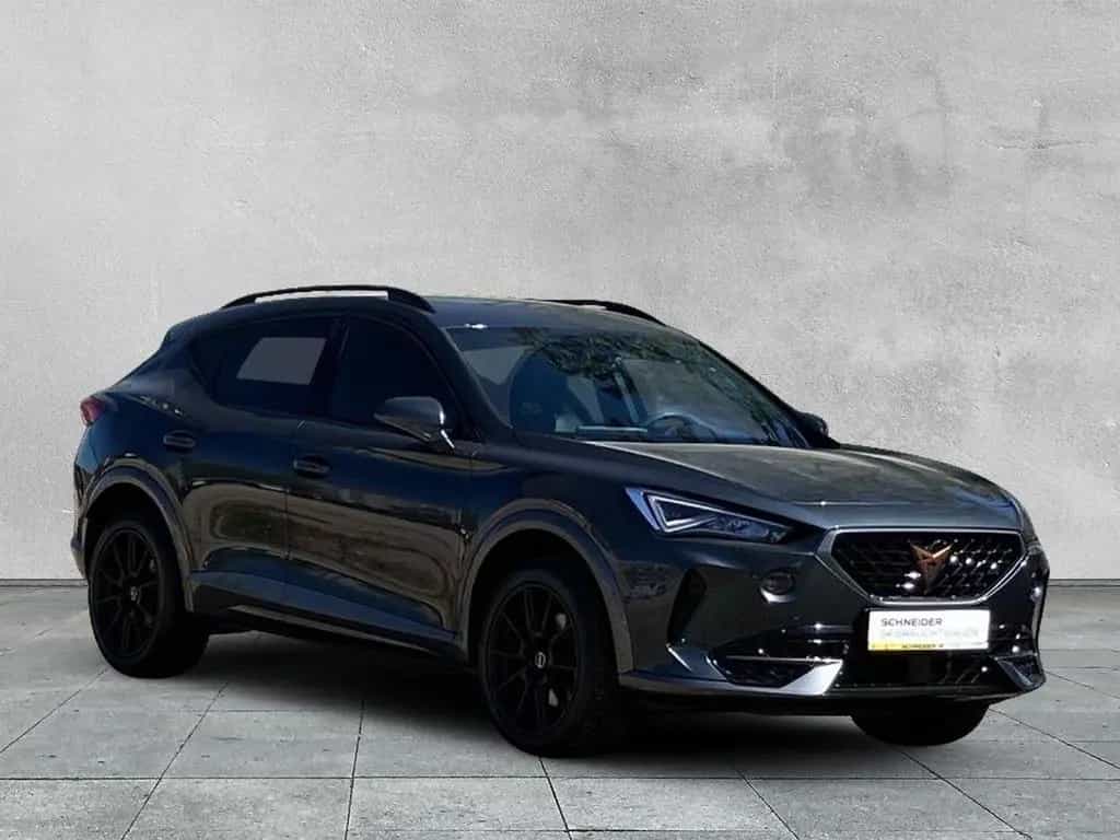 Cupra Formentor 2.0 TSI 4DRIVE DSG KAMERA+STANDHEIZUNG 02/2022-photo-6