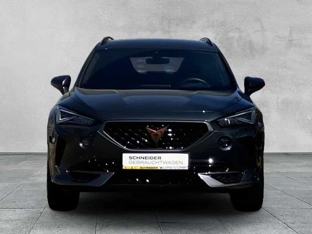 Cupra Formentor 2.0 TSI 4DRIVE DSG KAMERA+STANDHEIZUNG 02/2022-photo-7