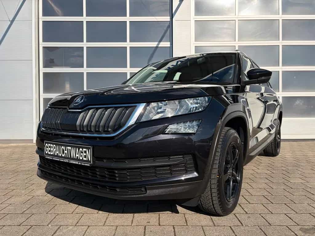 Skoda Kodiaq 1.5 TSI ACT DSG 2.HD SHZ KLIMA AHK PDC 06/2019-photo-25