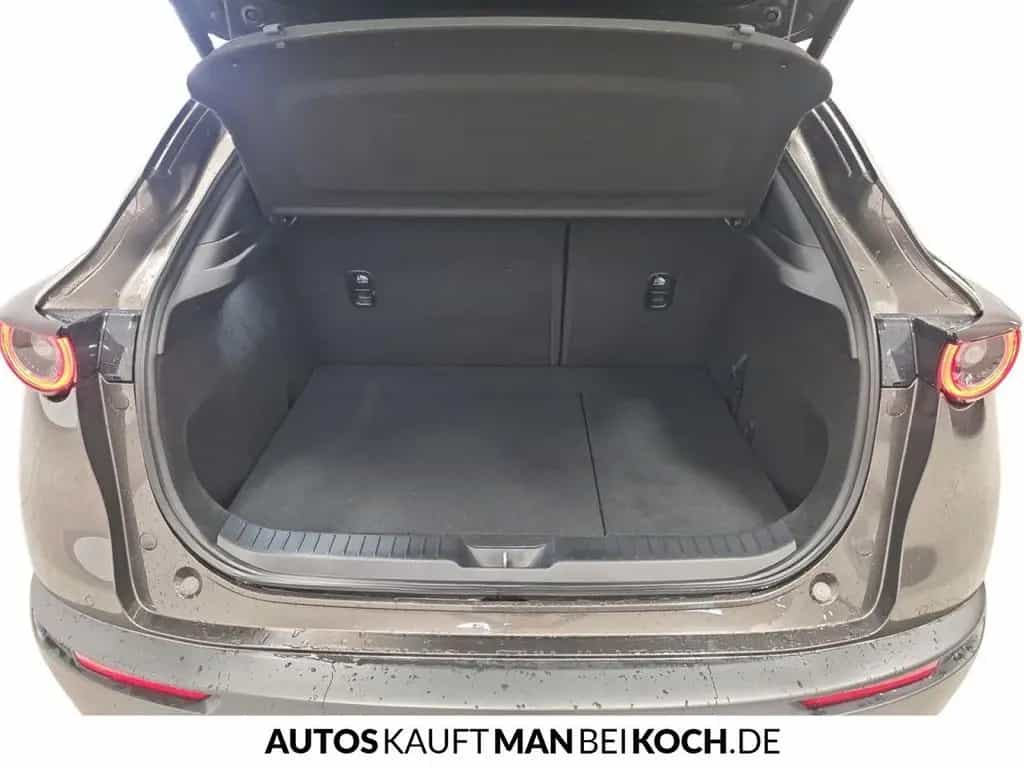 Mazda CX-30 SKY-G 2.0 MHybrid 6AG AL-SELECTION A18 LED 09/2020-photo-14
