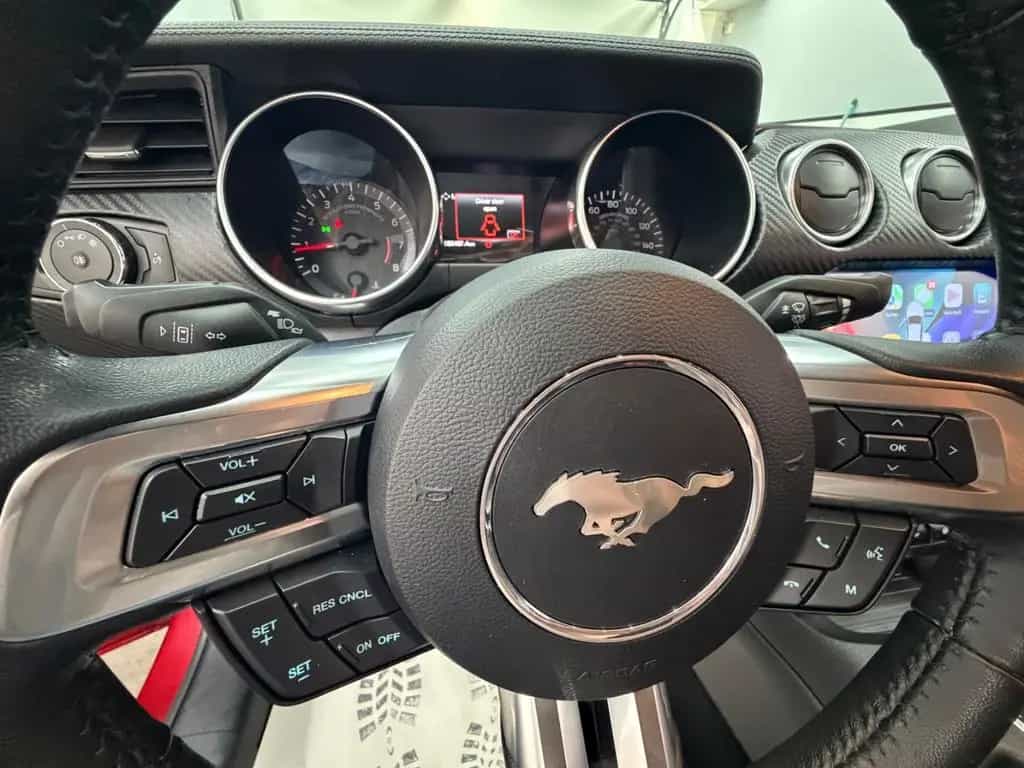 Ford Mustang 2.3 Eco Lucid-Red/MY-25 Kit/Spur-H 07/2021-photo-30