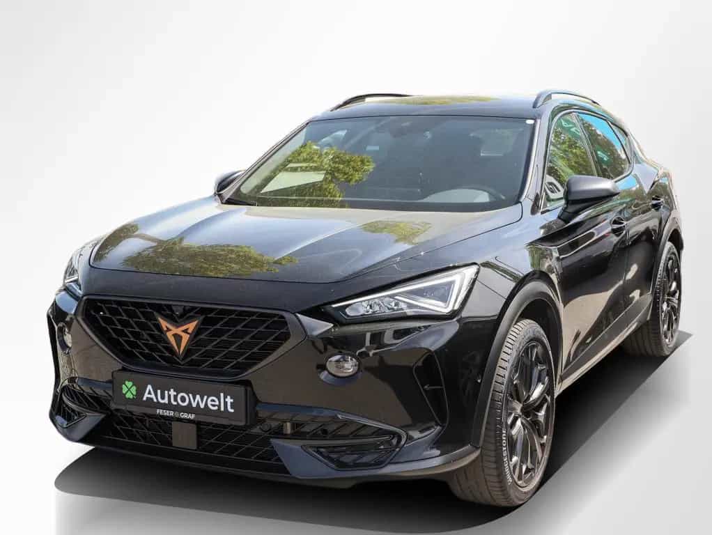 Cupra Formentor VZ 2.0 TSI 4Dr. Tribe Edition Nav 360° 04/2024-photo-10