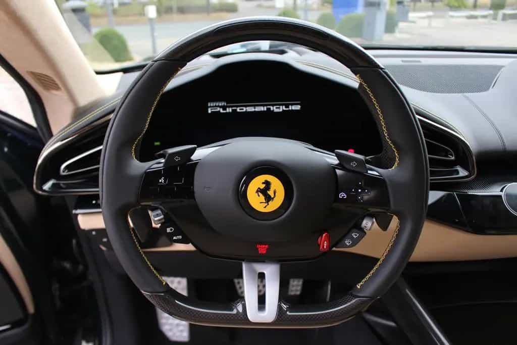 Ferrari Purosangue Carbon außen innen Pano 23 Zoll 2025 null-photo-14