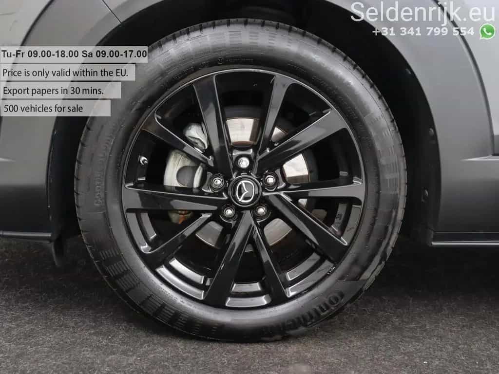 Mazda CX-30 2.0 e-SkyActiv-X M Hybrid Luxury | Leder | 01/2020-photo-38