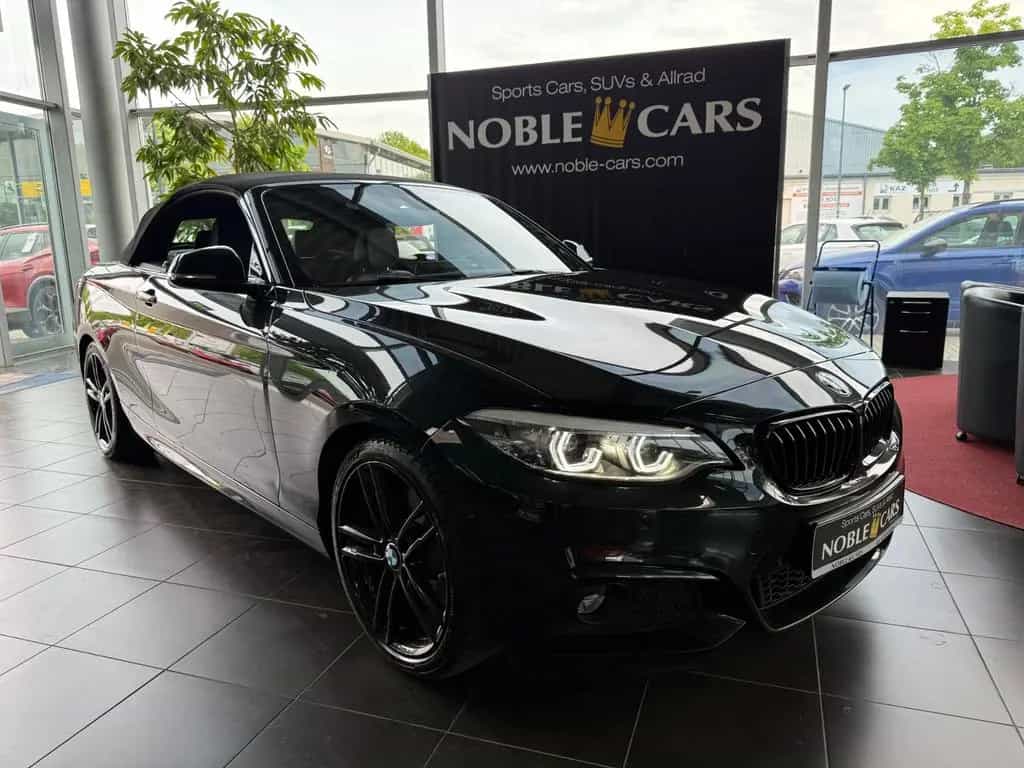 BMW 220 i Cabrio M Sport H/K LED NAV PDC SHZ 18" 10/2019-photo-20