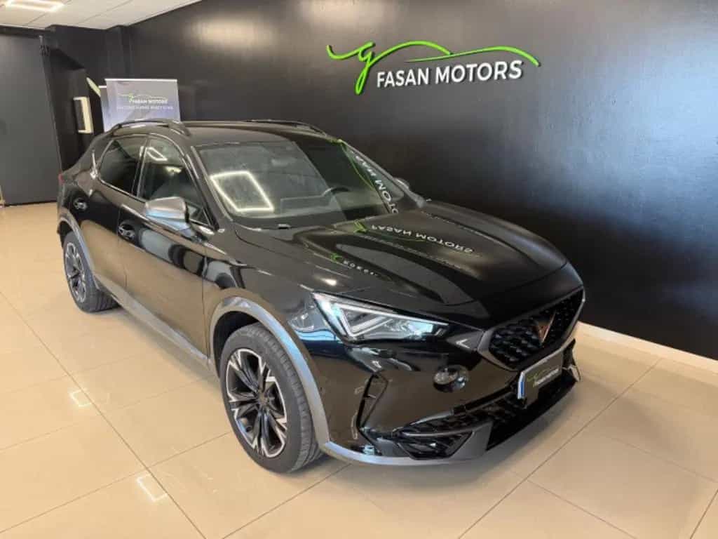 Cupra Formentor 2.0 tdi 4drive 150cv dsg 03/2023-photo-5