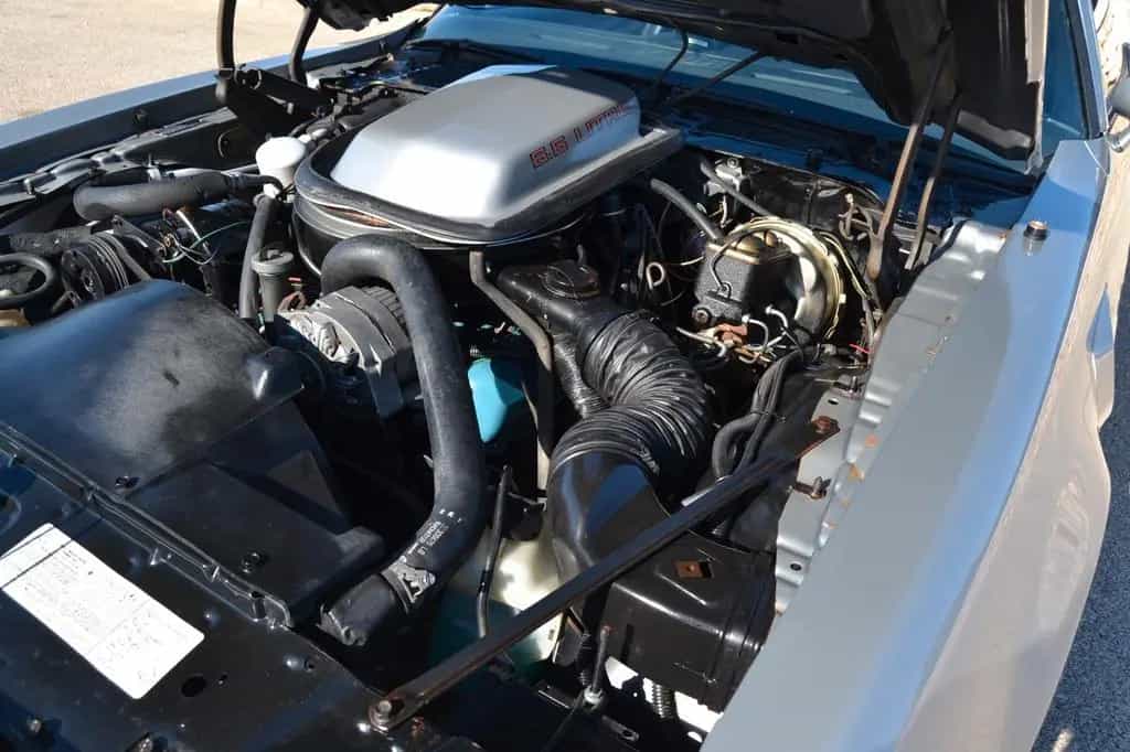 Pontiac Trans Am 09/1979-photo-8