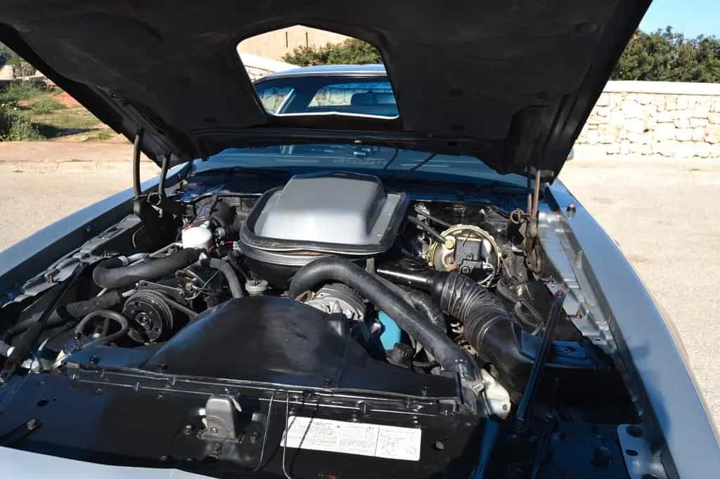 Pontiac Trans Am 09/1979-photo-9