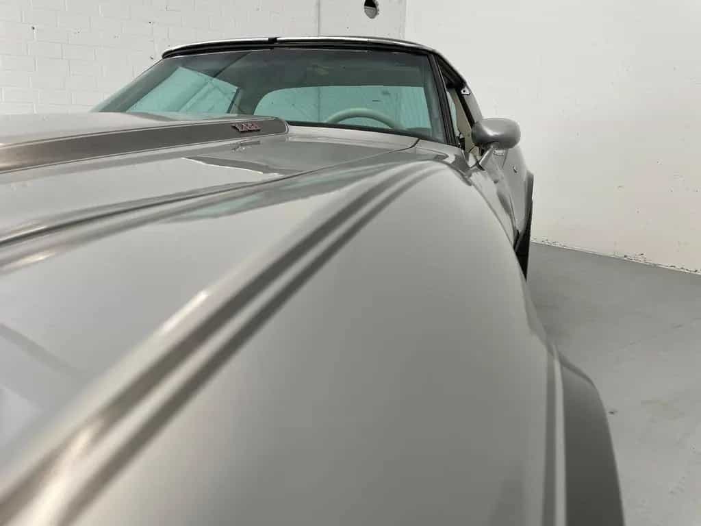 Corvette C3 Silver Anniversary 07/1979-photo-22