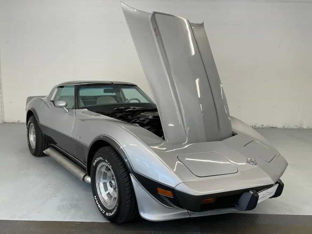 Corvette C3 Silver Anniversary 07/1979-photo-25