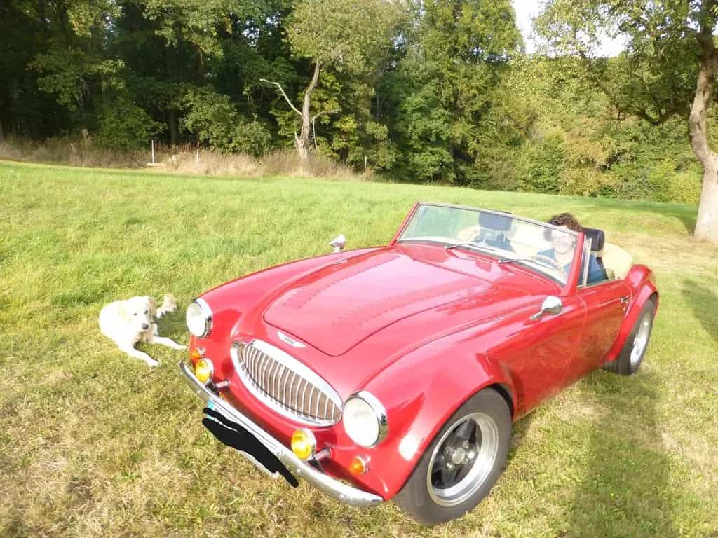 Austin Healey Other Andere 07/1963-photo-9