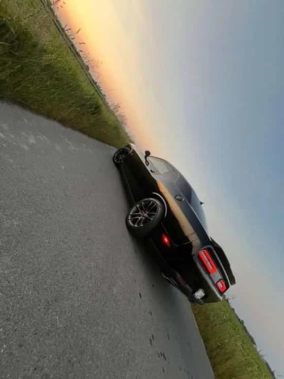 Dodge Challenger 12/2021-photo-1