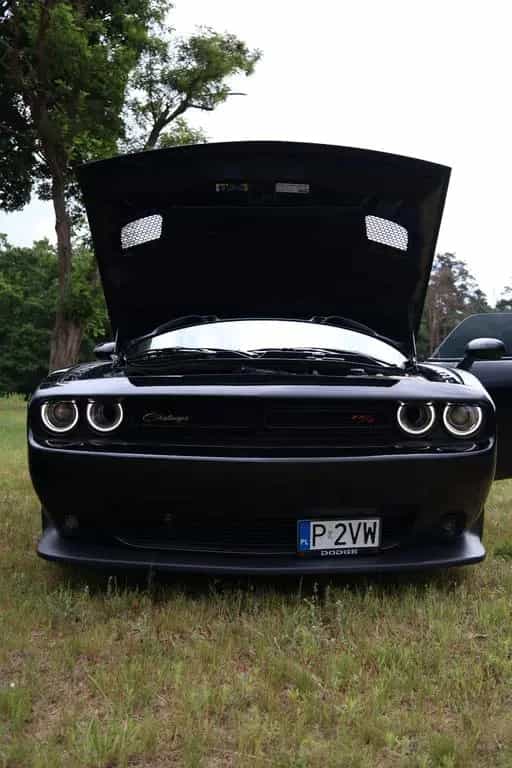 Dodge Challenger 12/2021-photo-10