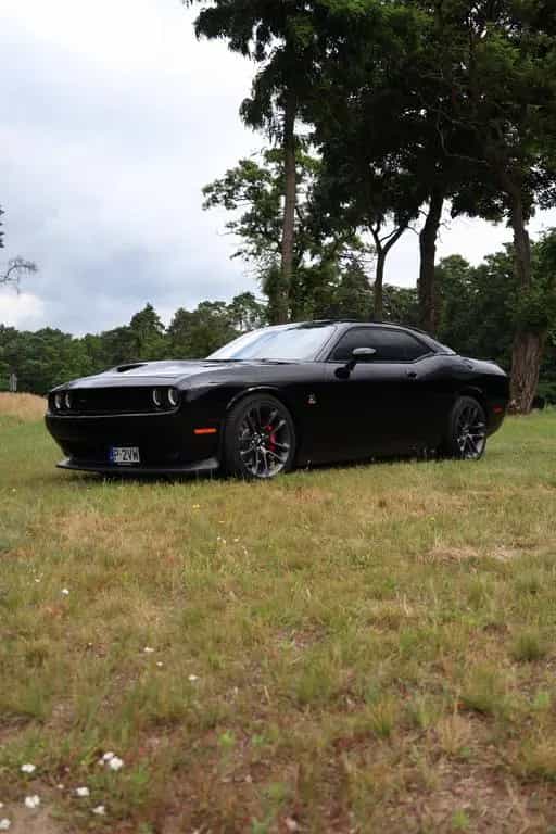 Dodge Challenger 12/2021-photo-11