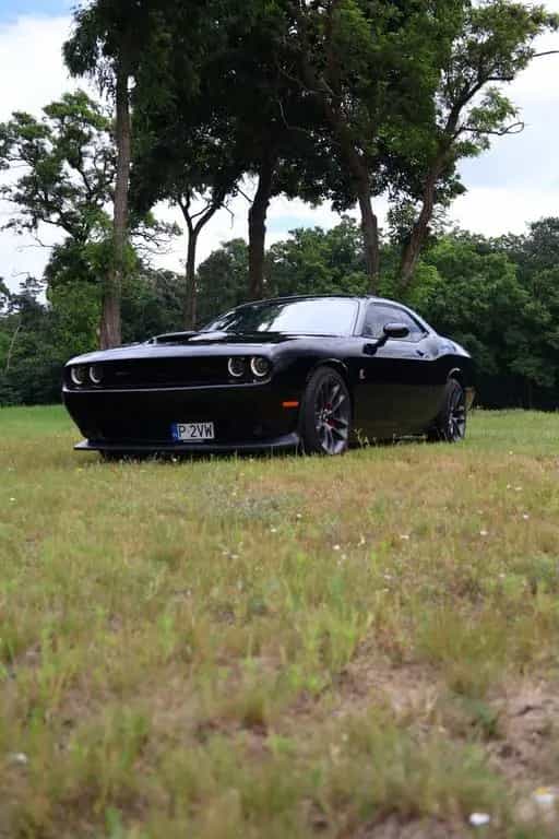 Dodge Challenger 12/2021-photo-12