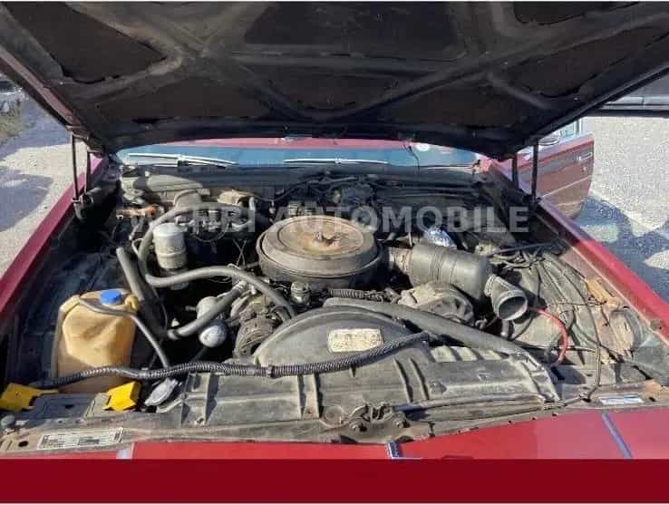 Oldsmobile Other Andere regency 98 08/1979-photo-10