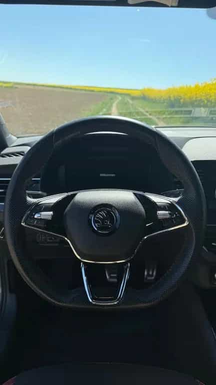 Skoda Kamiq 1.5 TSI ACT DSG Monte Carlo Monte Carlo 04/2021-photo-11