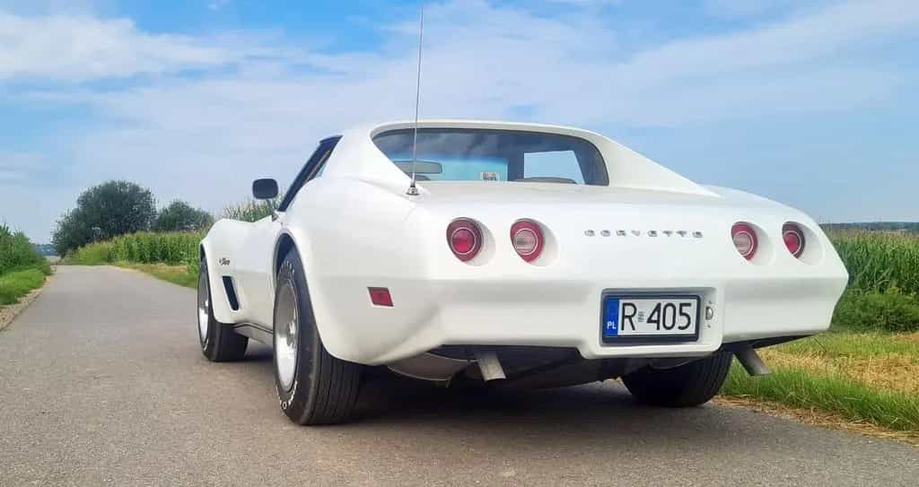 Corvette C3 02/1974-photo-15