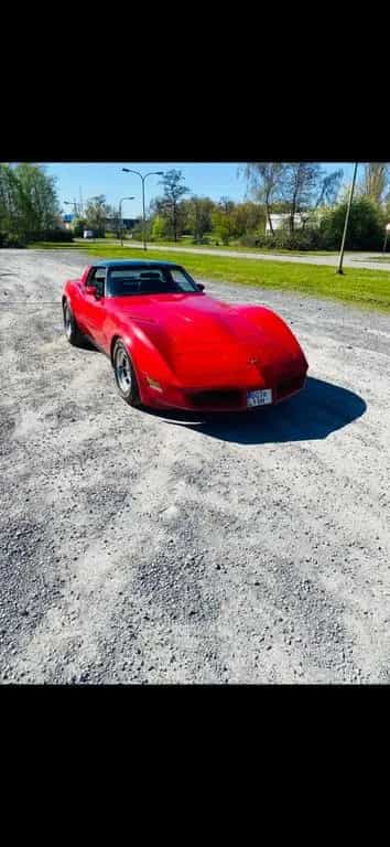 Corvette C3 06/1981-photo-1