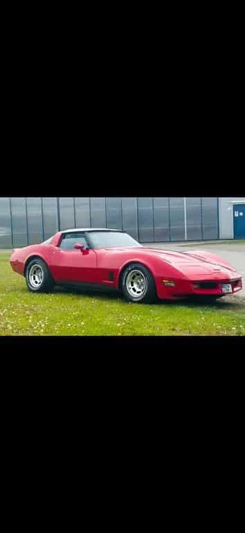 Corvette C3 06/1981-photo-2