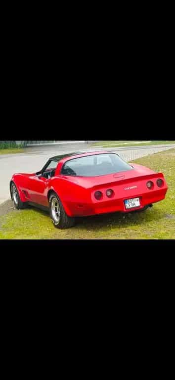 Corvette C3 06/1981-photo-4