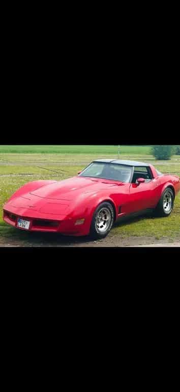 Corvette C3 06/1981-photo-7